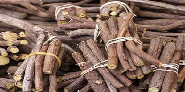 تصویر 4 از قیمت چوب ریشه شیرین بیان + خرید باور نکردنی